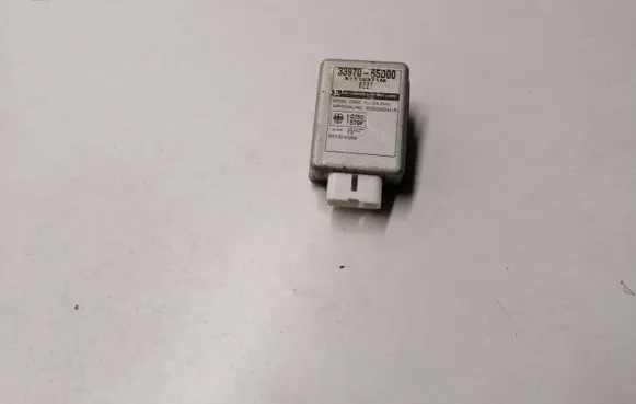 Suzuki Grand Vitara I Immobilizer control unit/module 3397065D00 95000544R