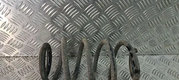 Dacia Logan I Rear coil spring 