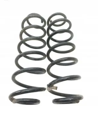 Rear coil spring