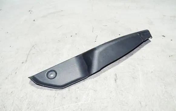 Rear/tail light trim molding