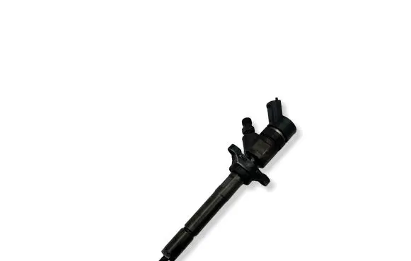 Peugeot Partner Fuel injector 0445110239