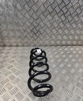 Rear coil spring