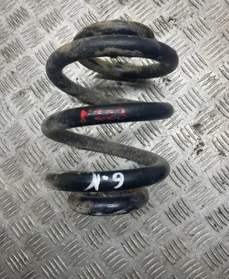 Rear coil spring