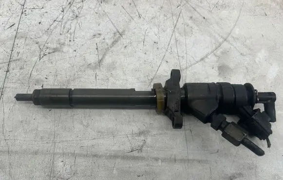 Citroen C4 I Picasso Fuel injector 0445110311