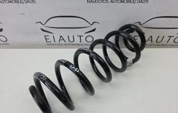 Rear coil spring