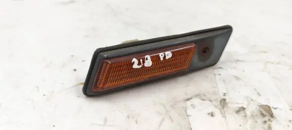Front fender indicator light
