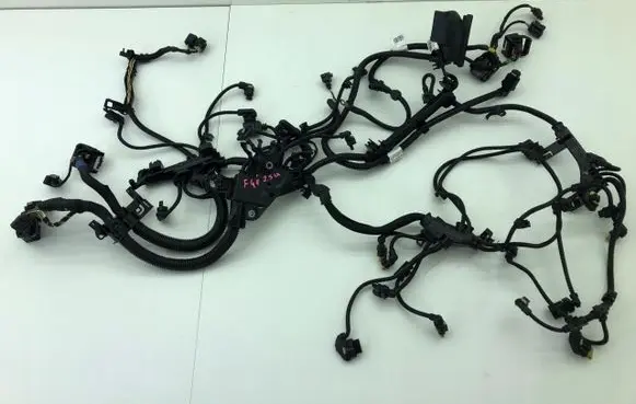 BMW X1 F48 F49 Engine installation wiring loom 