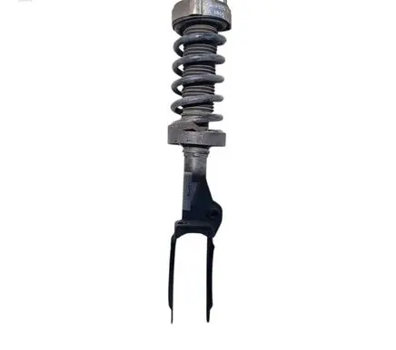 Volkswagen Touareg II Front shock absorber with coil spring 