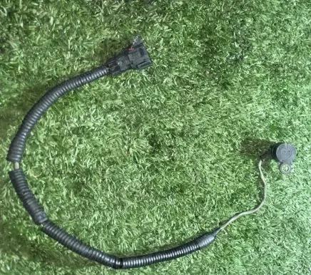 Nissan Patrol Y61 Crankshaft position sensor