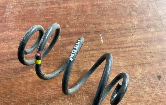Rear coil spring