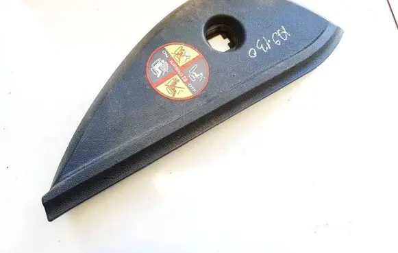 Renault Laguna III Other interior part 689200001r