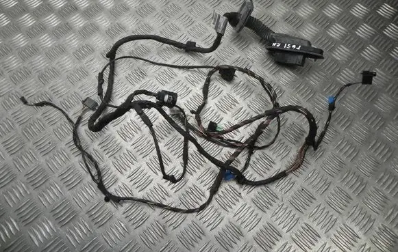 BMW 5 GT F07 Front door wiring loom 9210105