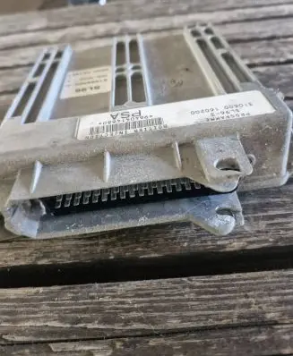 Peugeot 406 Engine control unit/module