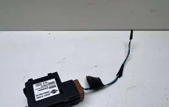 Nissan X-Trail T31 Immobilizer control unit/module 285912F000 5WK48647B H000217