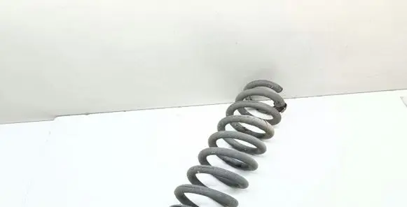 BMW X1 E84 Rear coil spring