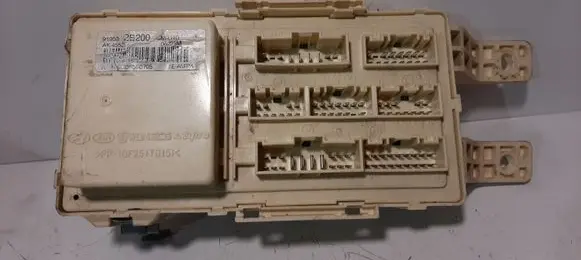 Hyundai Santa Fe Fuse module 919502B200