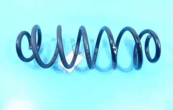 Rear coil spring