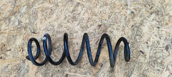 Rear coil spring