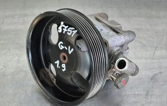 Suzuki Grand Vitara II Power steering pump 4910067J00