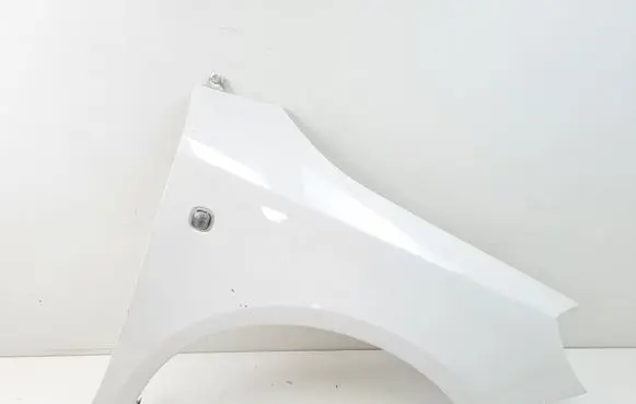 Skoda Praktik (5J8) Fender