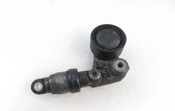 Porsche Cayenne (9PA) Timing belt/chain tensioner 94810236100