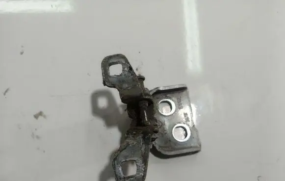 Dacia Sandero Rear door lower hinge 
