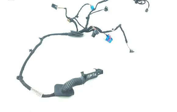 Front door wiring loom