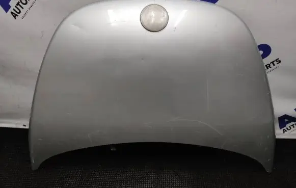 Volkswagen New Beetle Engine bonnet/hood