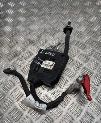 Opel Grandland X Positive cable (battery) 9819950380