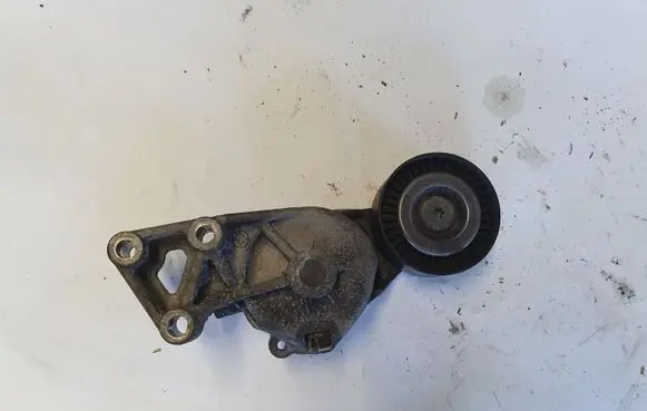 Seat Leon (1M) Generator/alternator belt tensioner 950372 0372 03722010001