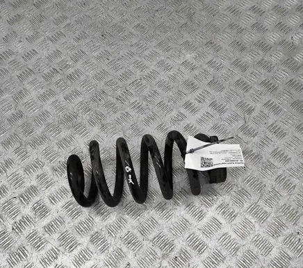 Rear coil spring