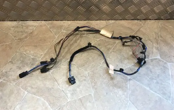 Front door wiring loom