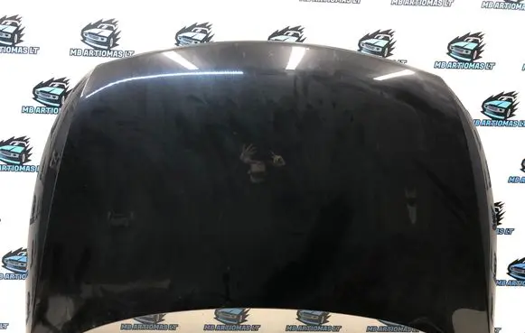 Engine bonnet/hood