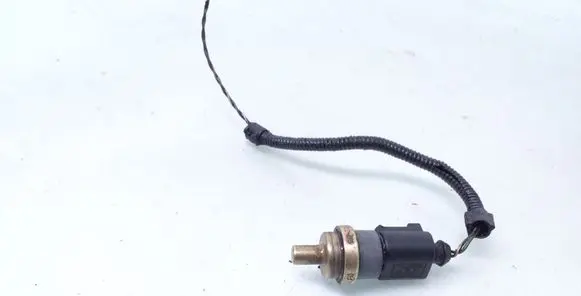 Volkswagen Phaeton Coolant temperature sensor 06A919501