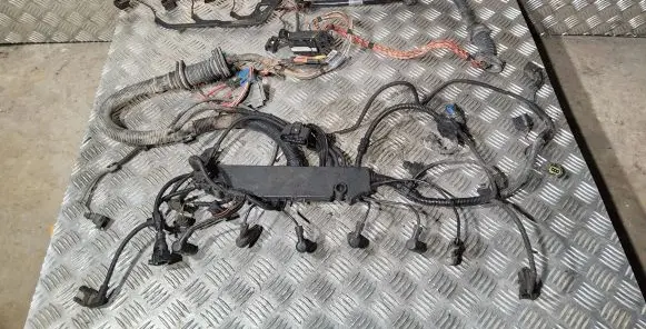 BMW 5 E60 E61 Engine installation wiring loom 7790177 7790172 755168Z2