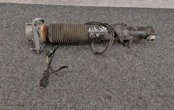 BMW X5 F15 Rear shock absorber with coil spring 6875089 37126875089