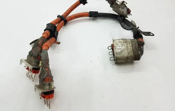 Other wiring loom