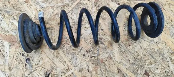 Rear coil spring