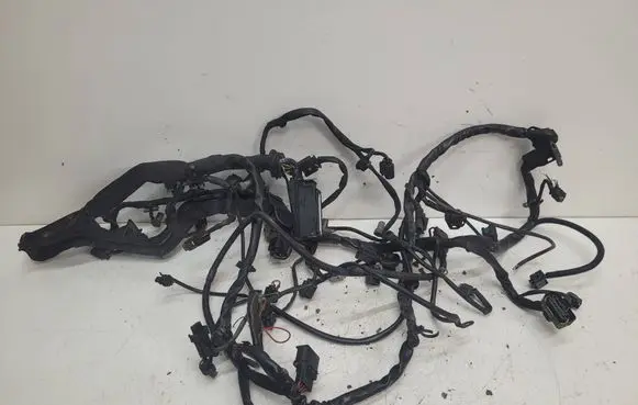 Mercedes-Benz R W251 Engine installation wiring loom 0015450730