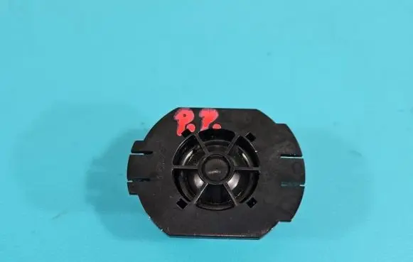 Front door speaker