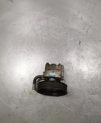 Suzuki Grand Vitara II Power steering pump 4910067J00 73133004