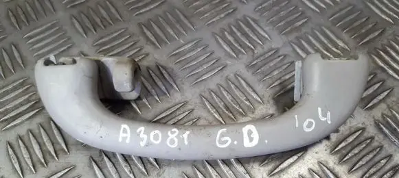 Ford Focus Rear interior roof grab handle