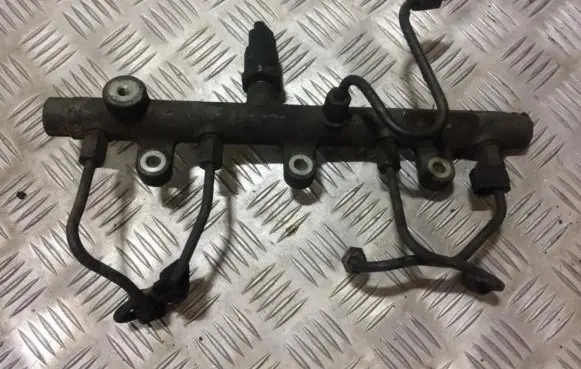 Peugeot 406 Fuel main line pipe 0445214019