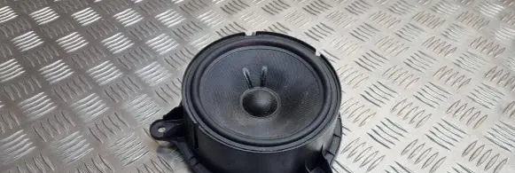 Renault Zoe Front door speaker