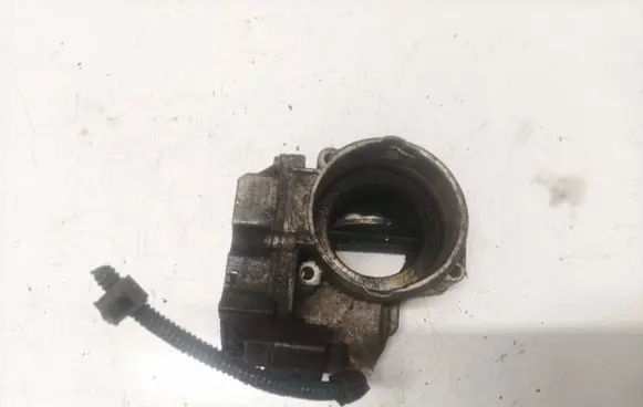 Volkswagen Golf Plus Throttle valve