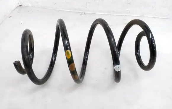 Rear coil spring