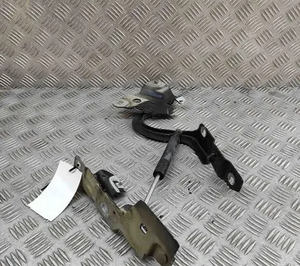 Renault Zoe Engine bonnet/hood hinges 654707388R 554018609R
