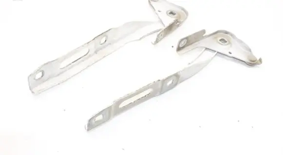 Opel Combo E Engine bonnet/hood hinges 9816484780