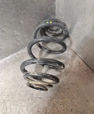 Rear coil spring