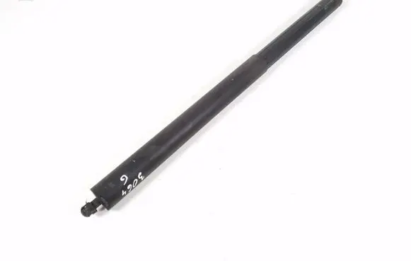 Tailgate strut
